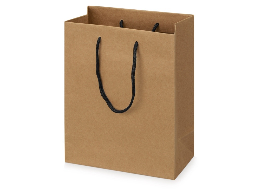 Пакет подарочный Kraft M
