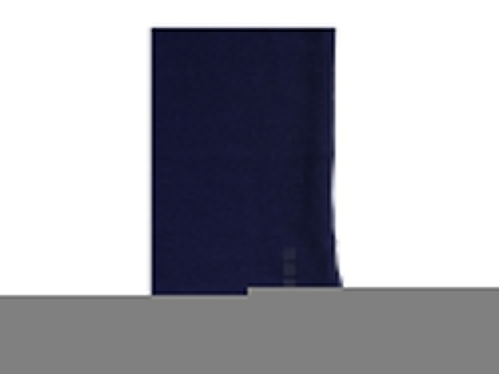 Рубашка поло Oakville мужская с длинным рукавом