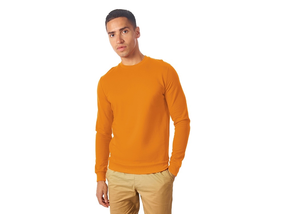 Свитшот Motion с начесом, унисекс