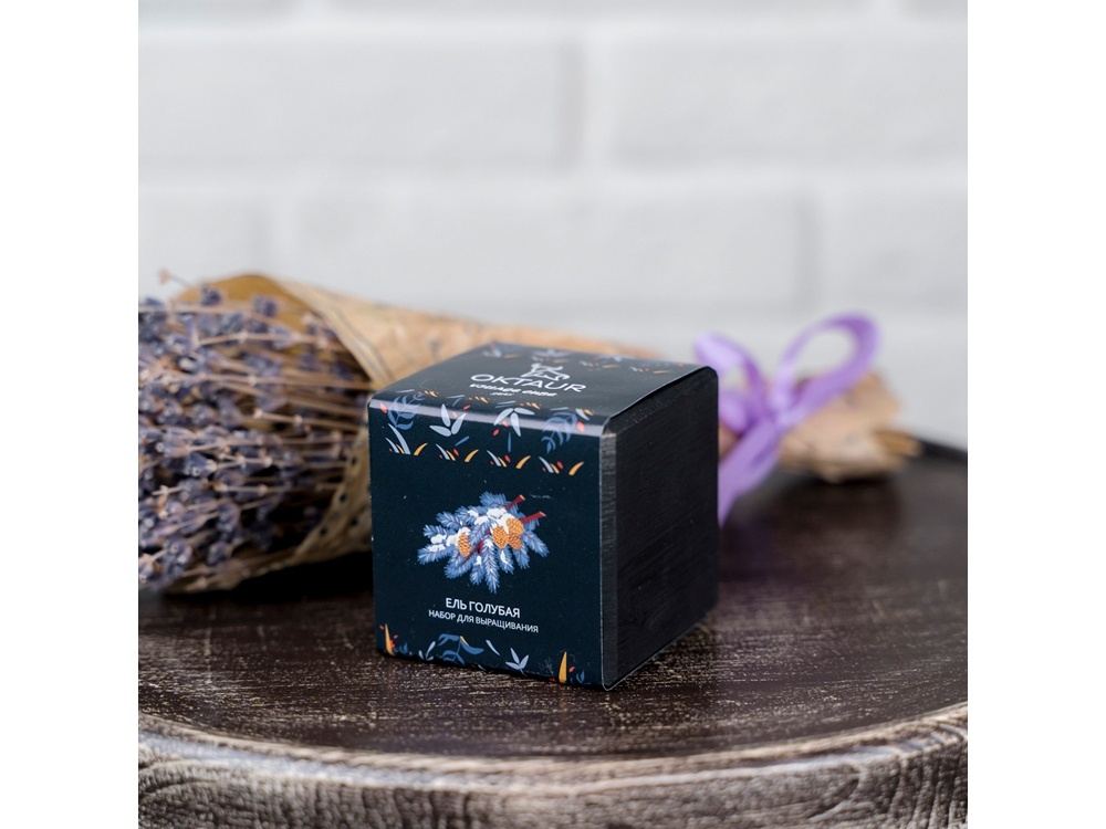 Набор для выращивания Small village cube Эхинокактус Альбинос