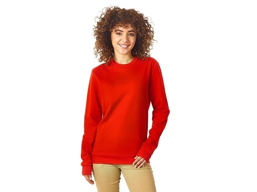 Свитшот Motion с начесом, унисекс