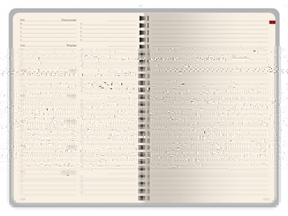 Еженедельник недатированный А5 Concept