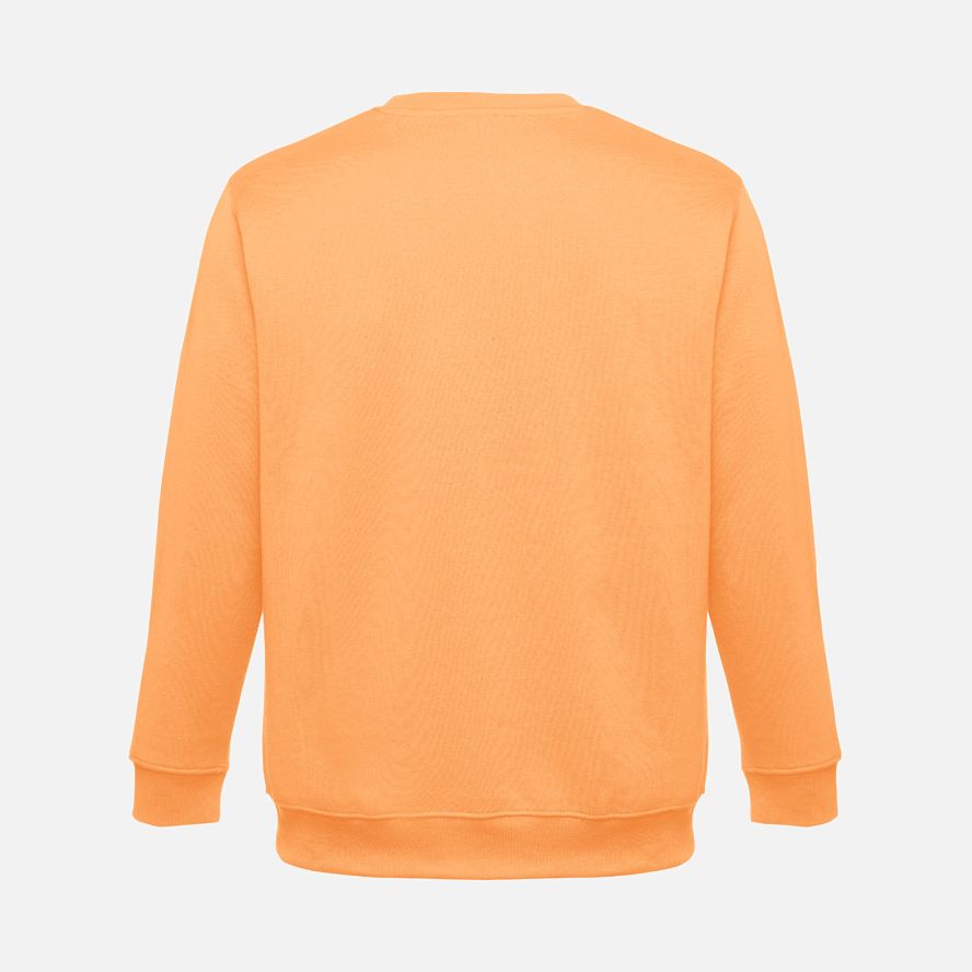 Свитшот унисекс Delta