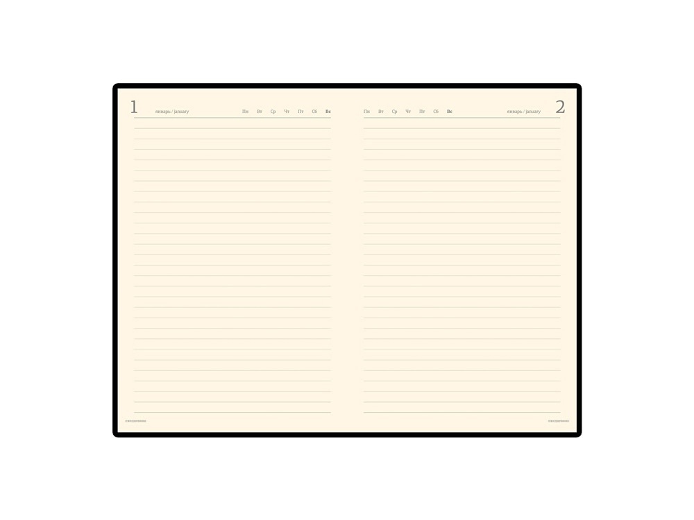 Ежедневник полудатированный портфолио А5 Profy