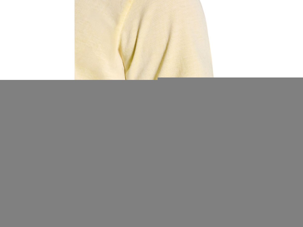 Футболка Corgi, мужская