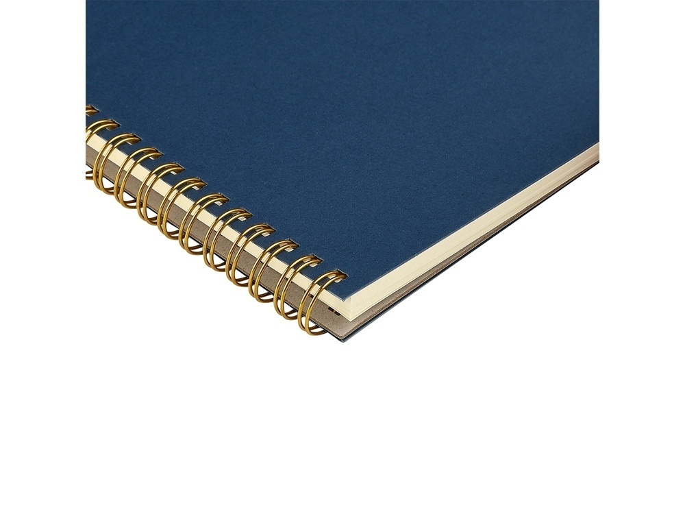 Бизнес тетрадь А5 Pragmatic