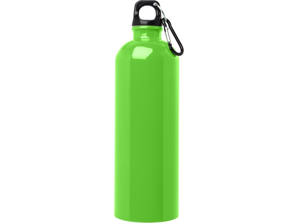 Одностенная бутылка для воды с карабином Oregon, 750 мл