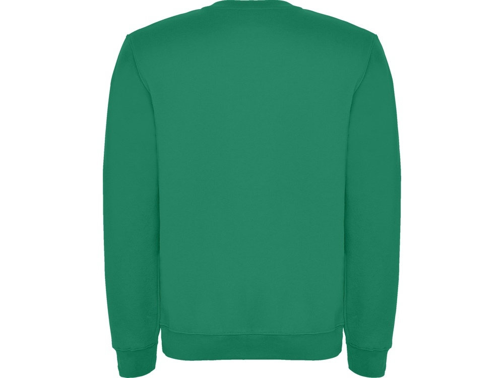 Свитшот с начесом Clasica детский