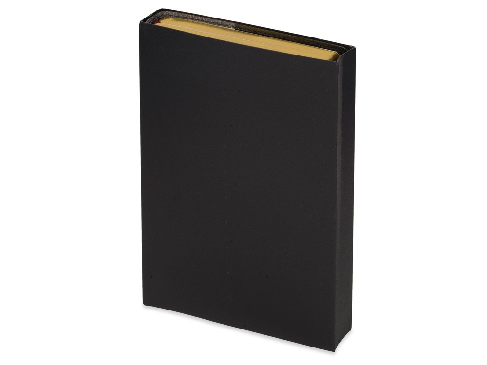 Ежедневник полудатированный портфолио А5 Profy