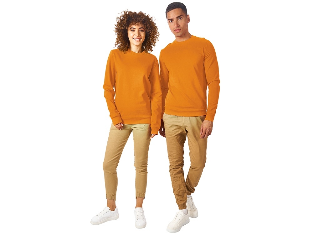 Свитшот Motion с начесом, унисекс