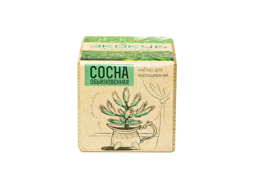 Набор для выращивания Базилик