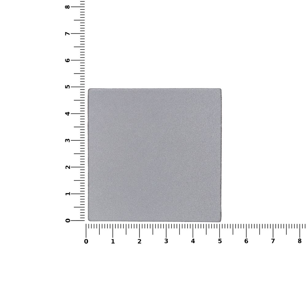 Лейбл светоотражающий Tao, L