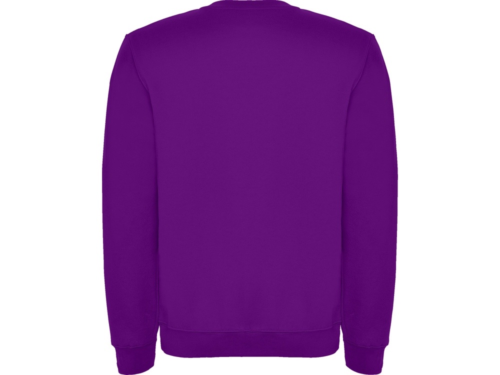 Свитшот с начесом Clasica детский