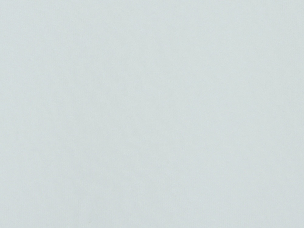 Футболка Rotterdam мужская