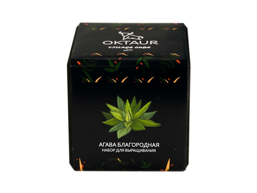 Набор для выращивания Small village cube Эхинокактус Альбинос