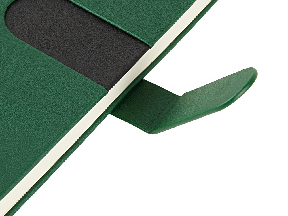 Ежедневник недатированный А5 Status