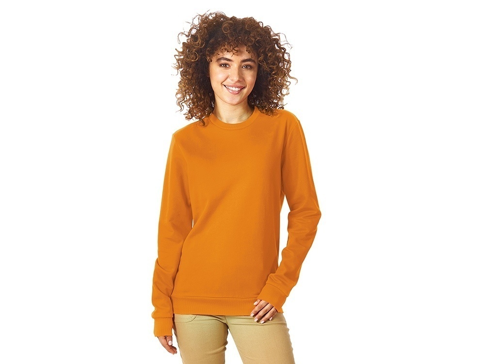 Свитшот Motion с начесом, унисекс