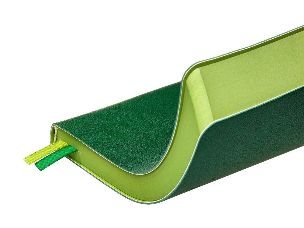 Ежедневник А5 датированный Boston на 2026 год