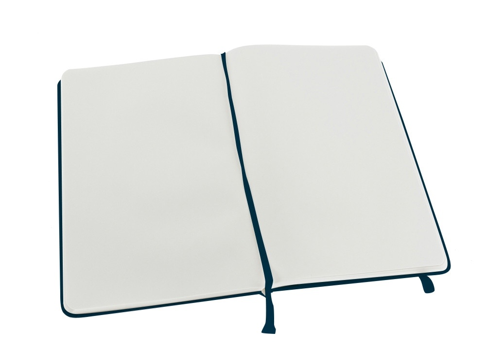 Записная книжка А5 (Large) Classic (нелинованный)