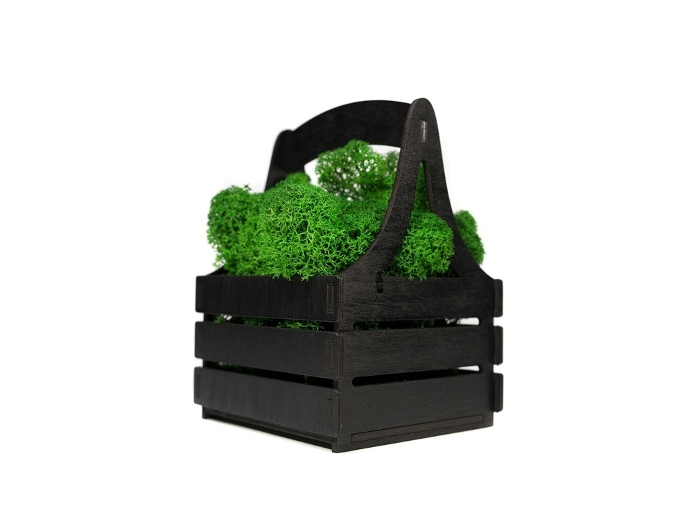 Композиция Корзинка со мхом