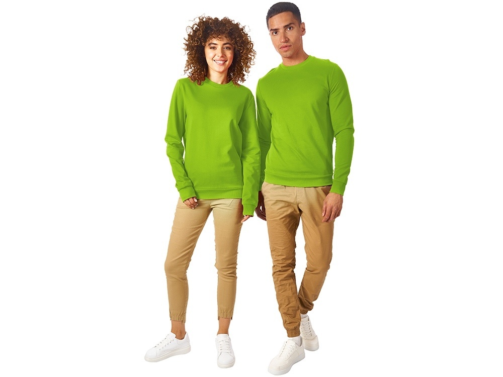 Свитшот Motion с начесом, унисекс