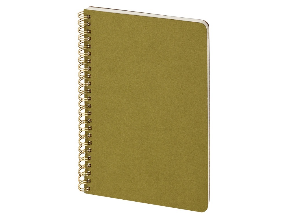 Бизнес тетрадь А5 Pragmatic