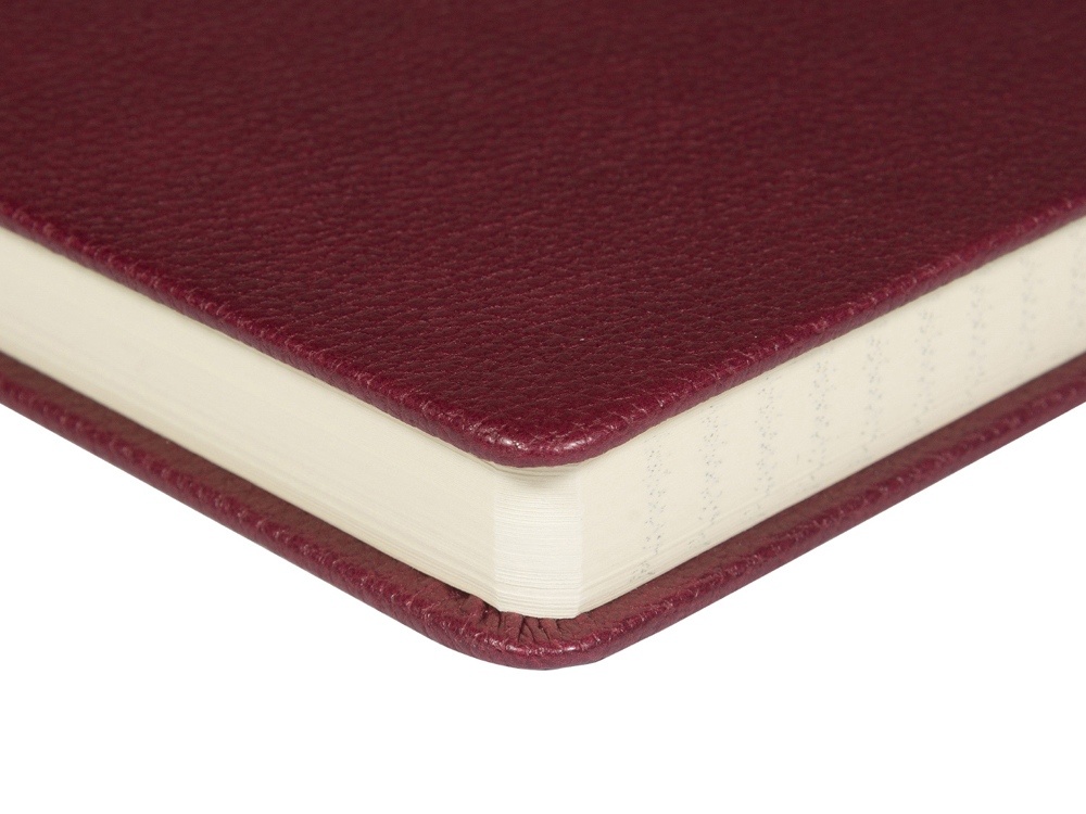 Ежедневник недатированный А5 Megapolis Loft