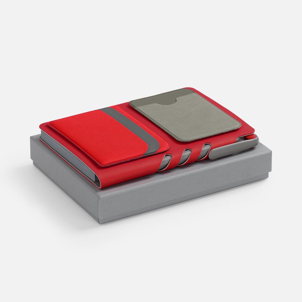 Набор Flexpen Dual