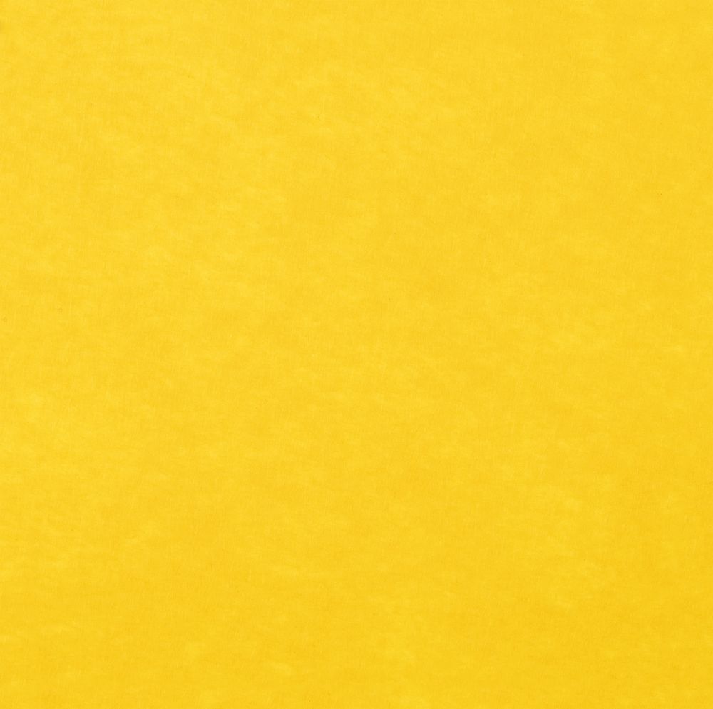 Заготовка из фетра Felt L