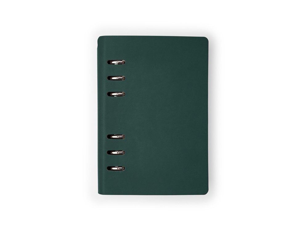 Ежедневник недатированный А5 Firenze