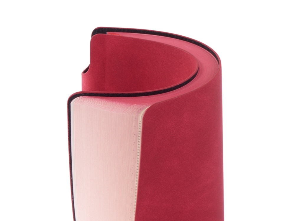 Блокнот в гибкой обложке А5 Notepeno Max