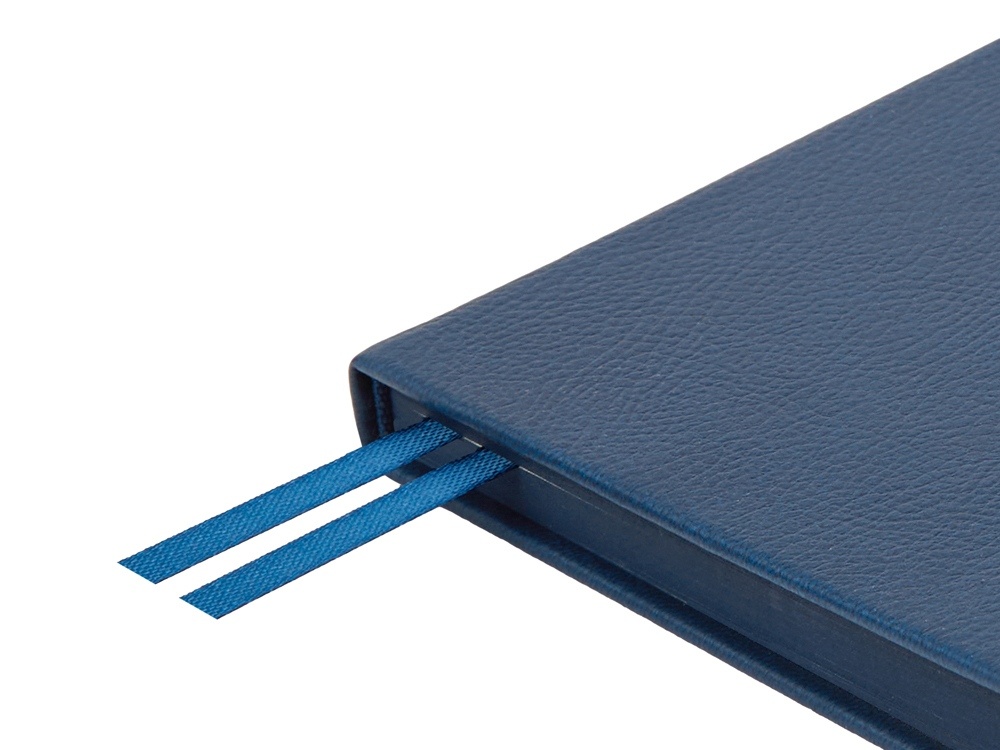 Ежедневник А5 датированный Megapolis Nappa на 2026