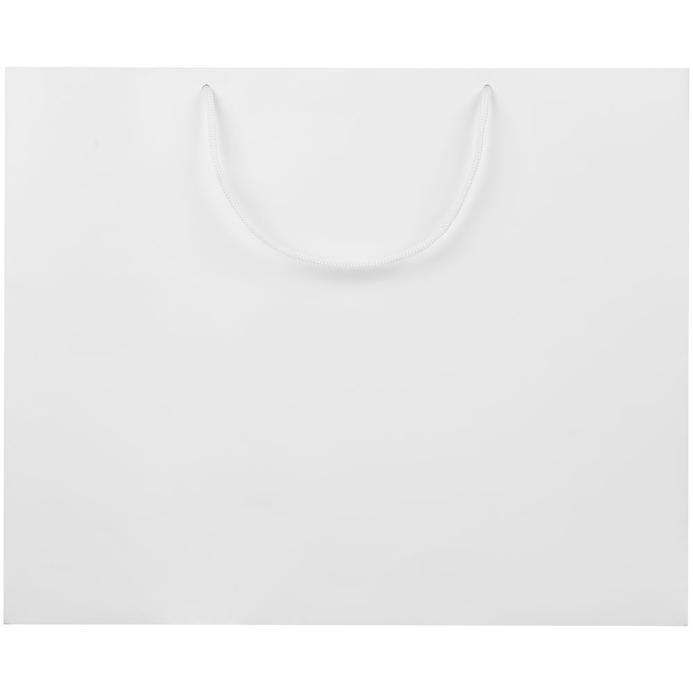 Пакет бумажный с ламинацией Lami Tote L