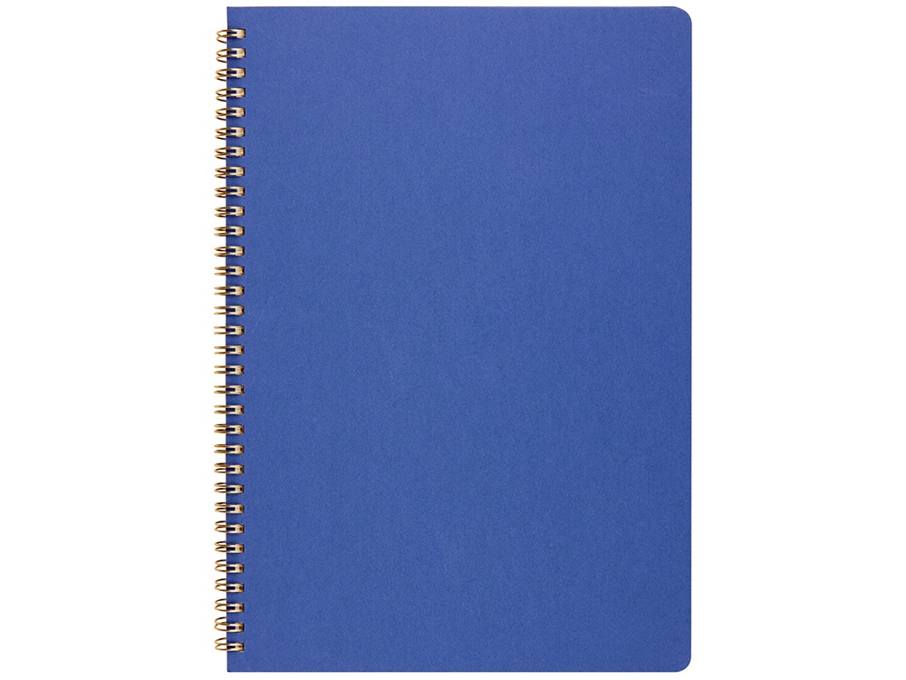 Бизнес-тетрадь А4 Pragmatic