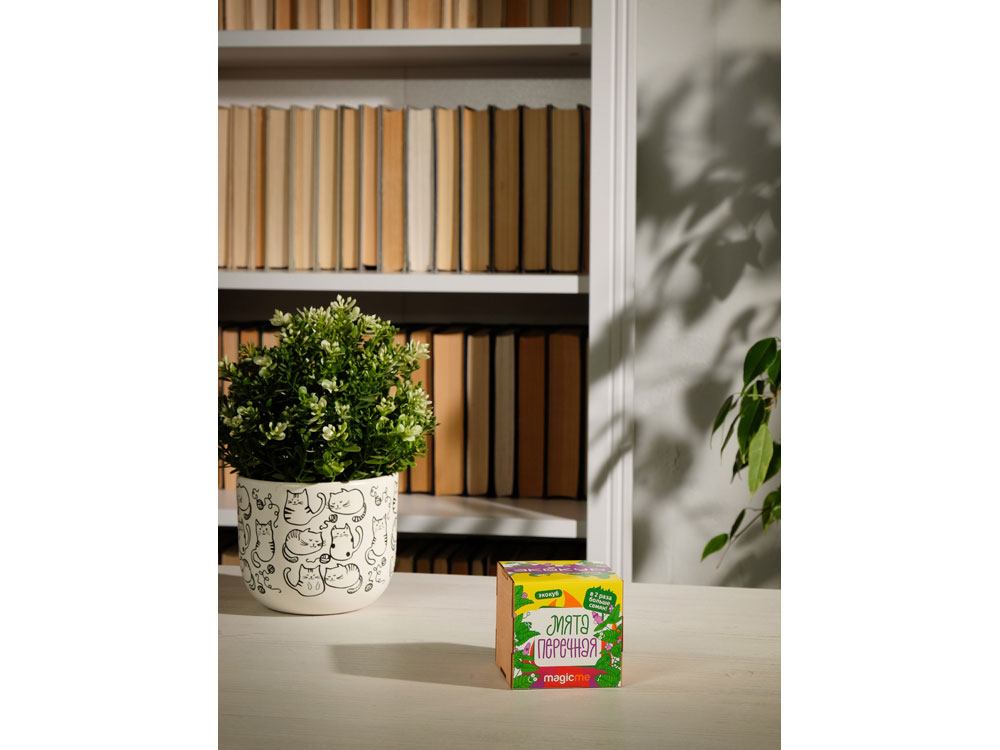 Набор для выращивания Мята