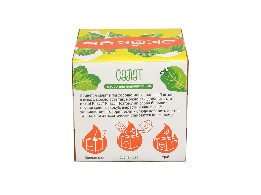Набор для выращивания Мята