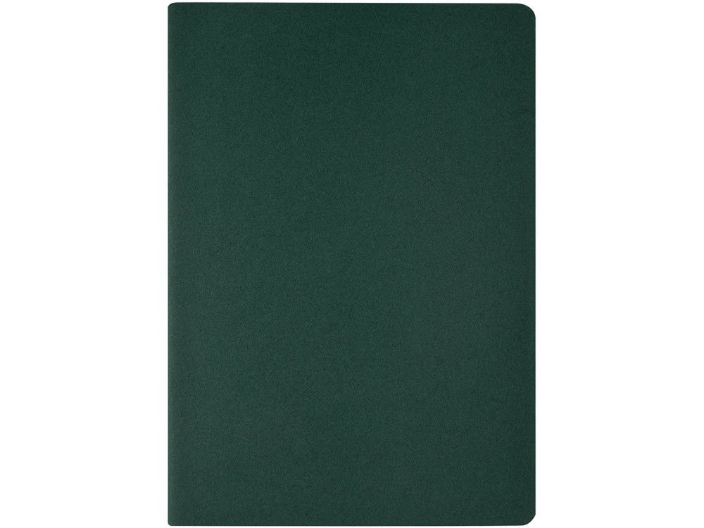 Бизнес тетрадь А5 Pragmatic