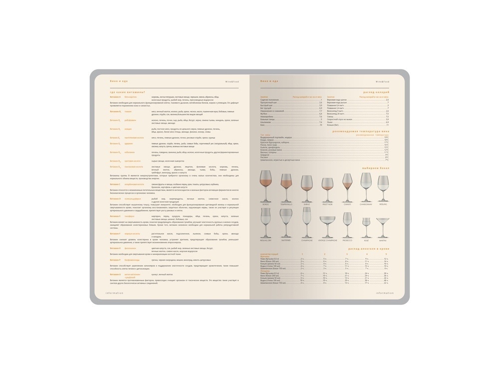 Ежедневник А5 датированный Boston на 2027 год