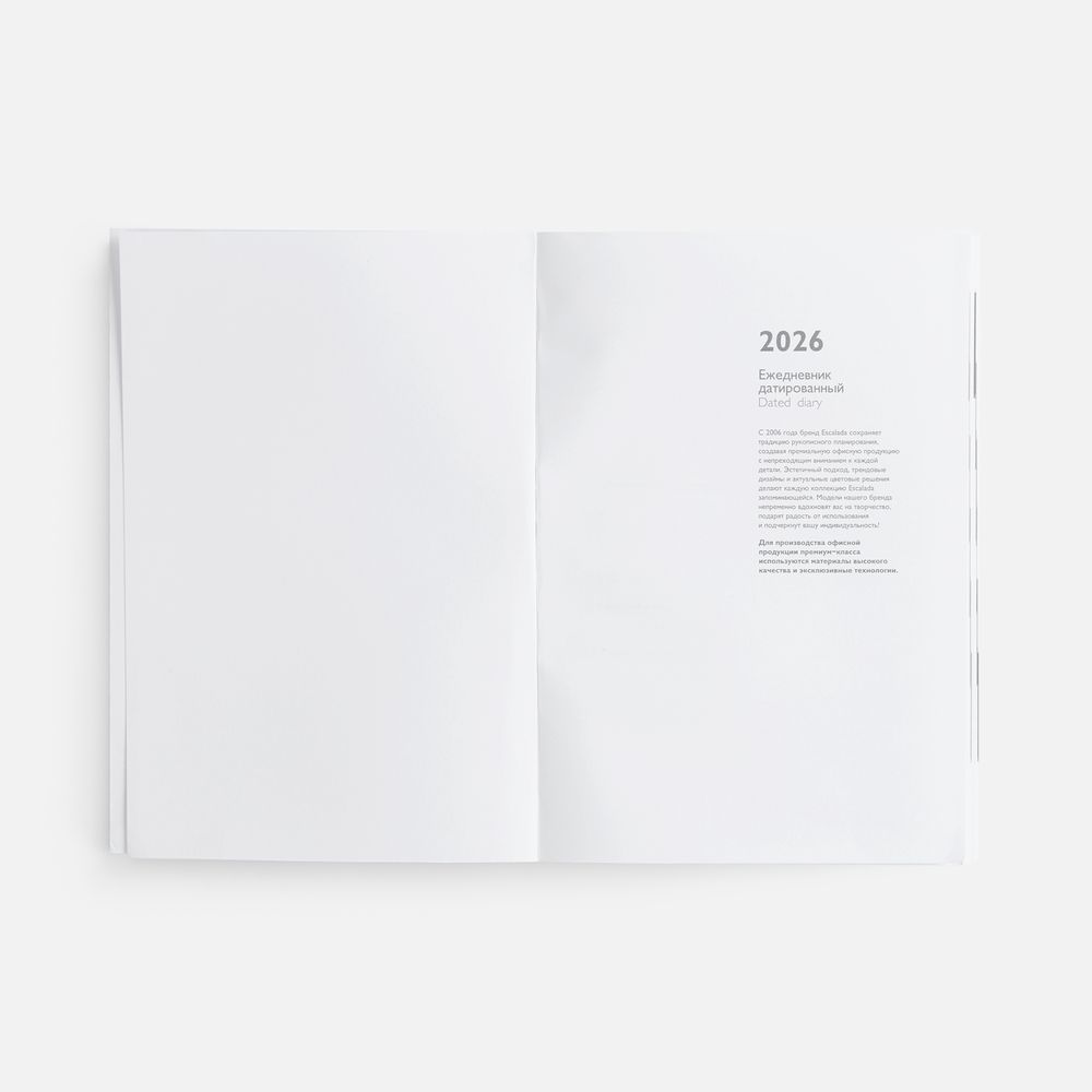 Ежедневник Baza, датированный