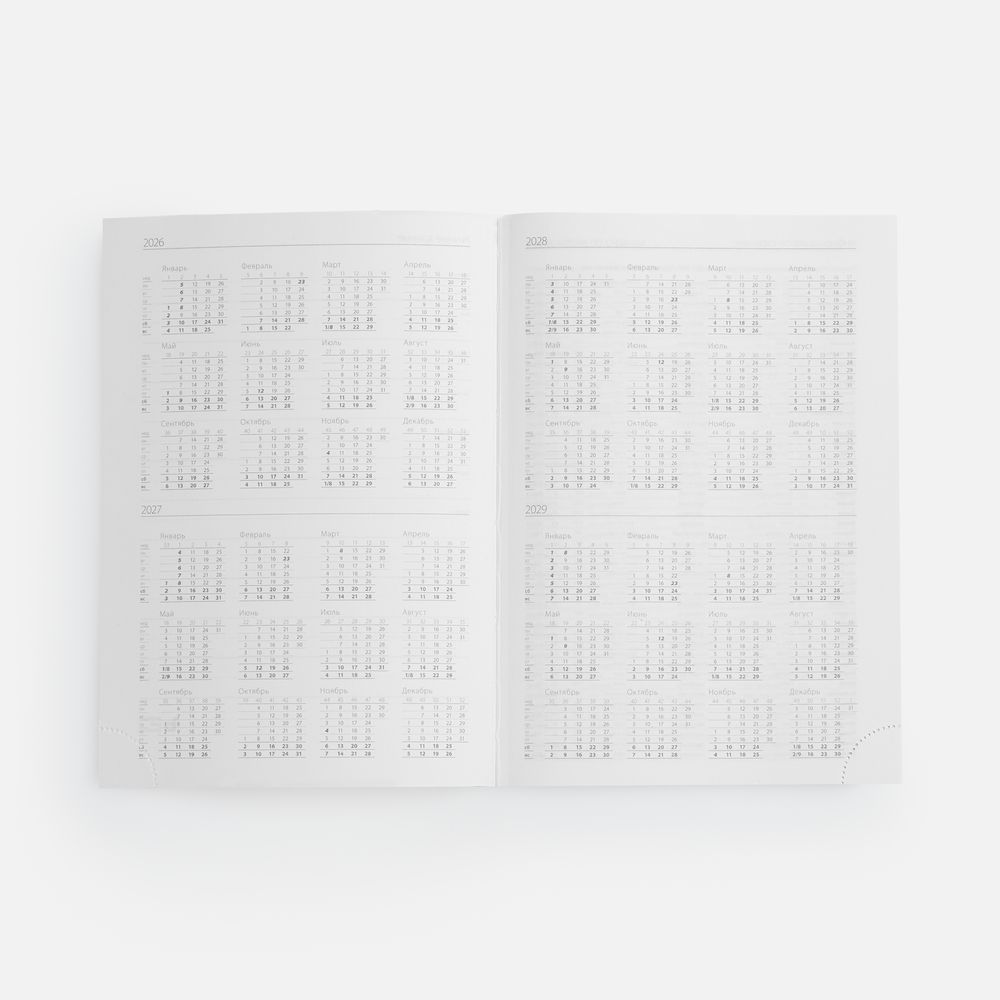 Ежедневник Vivian Metal, недатированный