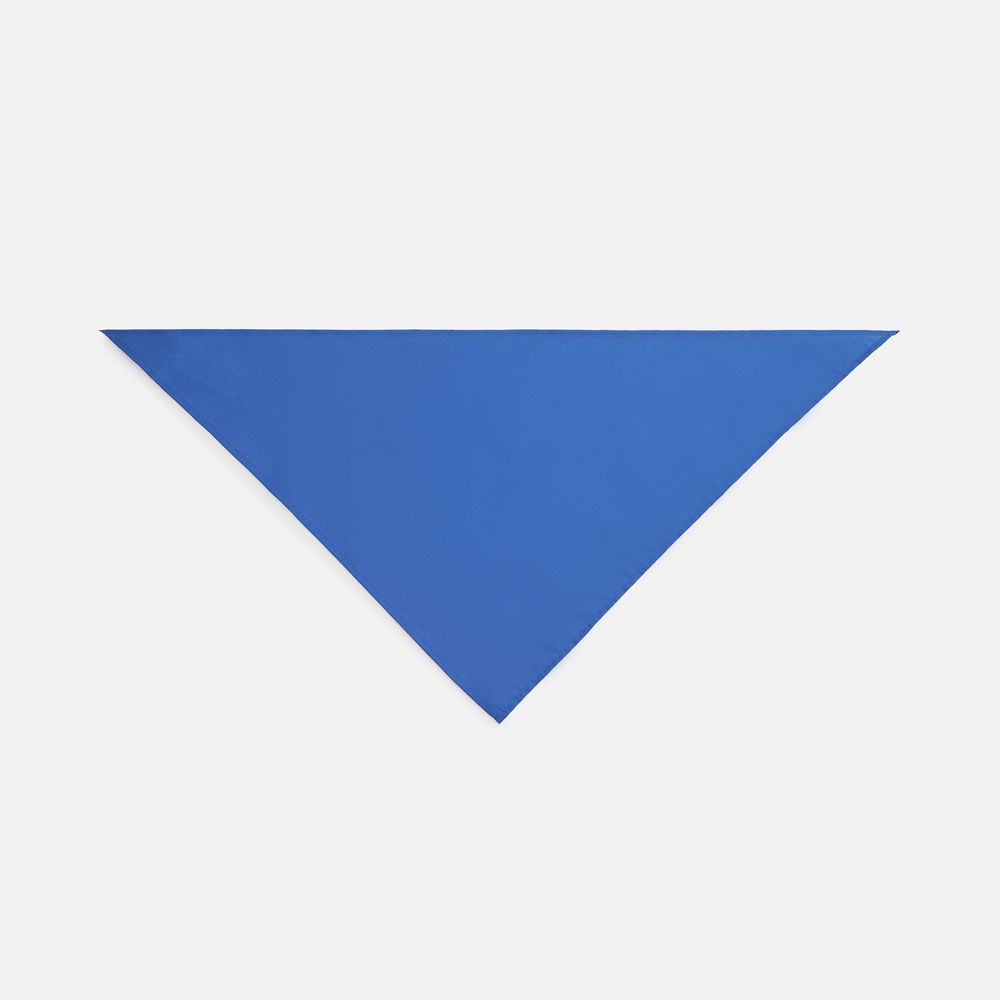 Шейный платок Bandana