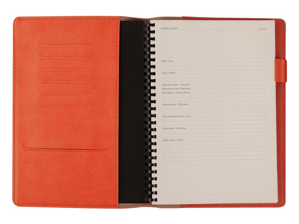 Еженедельник недатированный А5 Concept