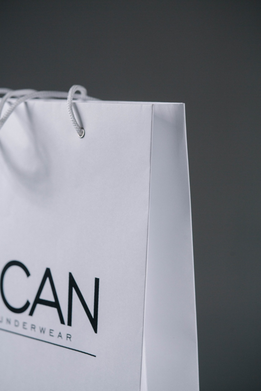 Бумажный пакет с люверсами 30*20*10 горизонтальный