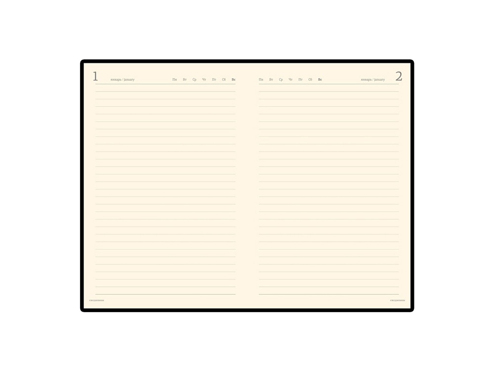 Ежедневник полудатированный портфолио А5 Profy