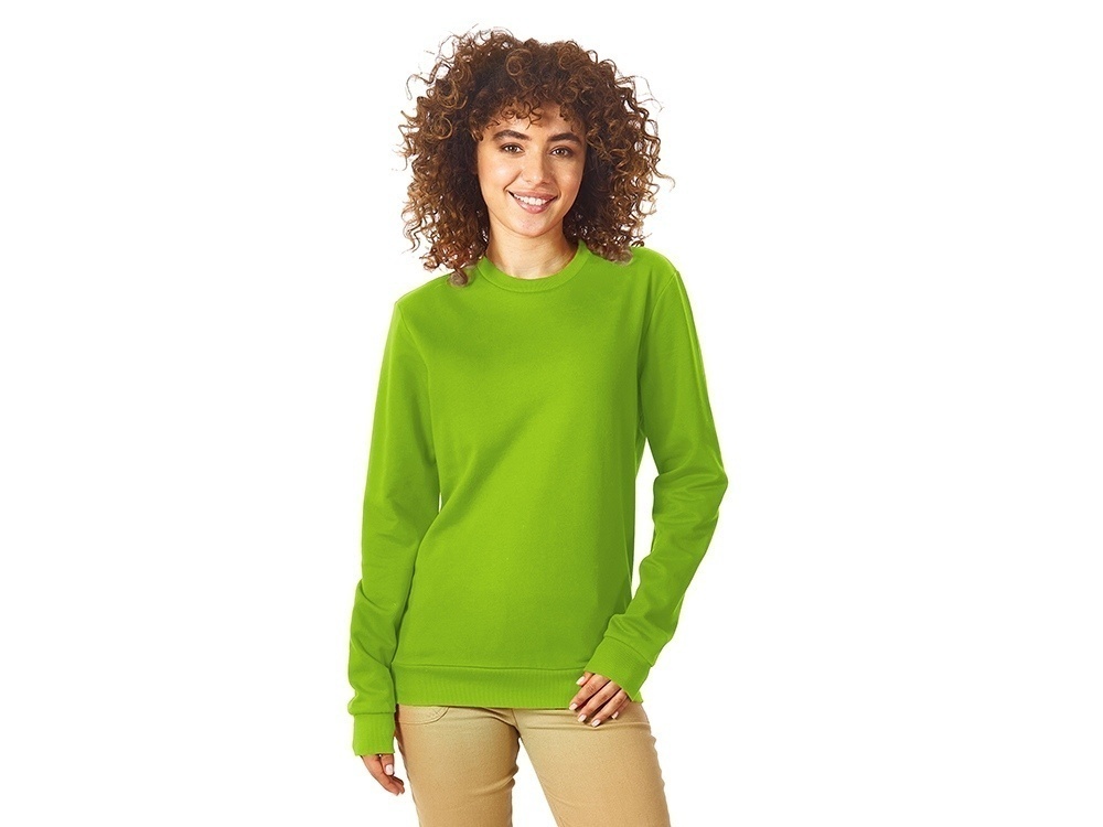 Свитшот Motion с начесом, унисекс