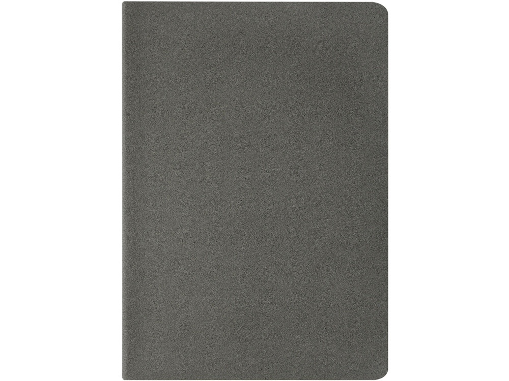 Бизнес-тетрадь А4 Pragmatic