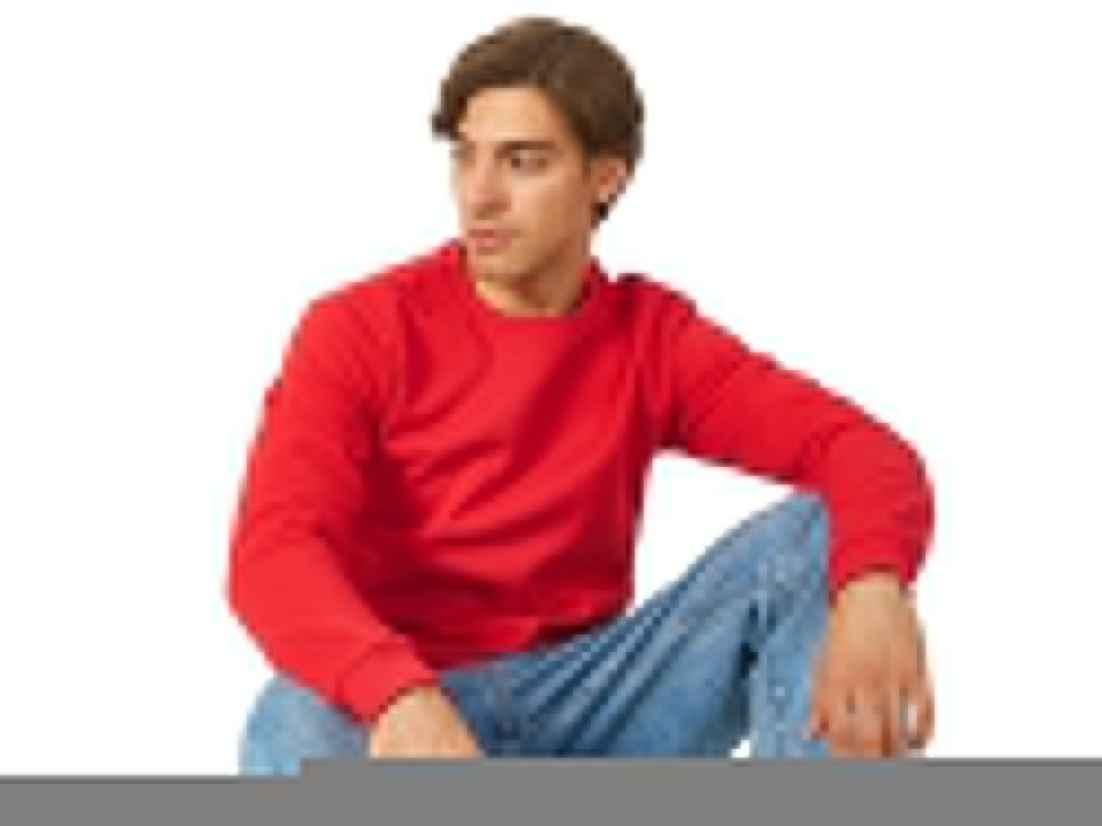 Толстовка Rome мужская