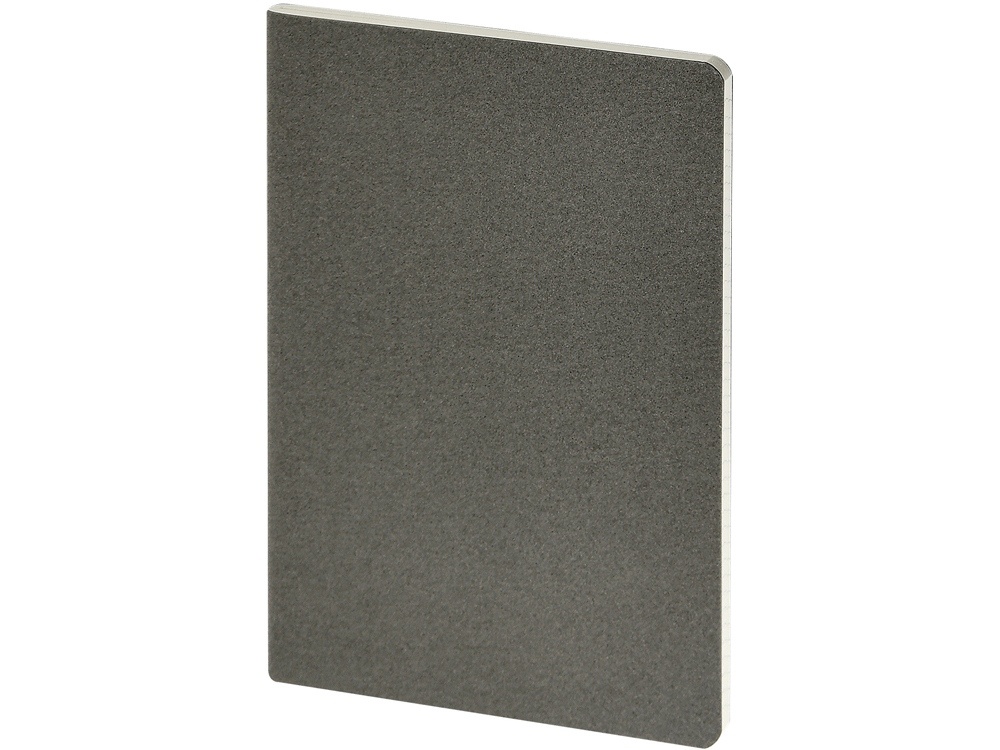 Бизнес-тетрадь А4 Pragmatic