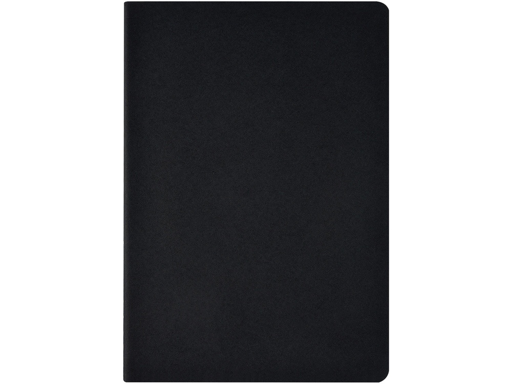 Бизнес-тетрадь А4 Pragmatic