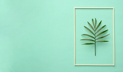 Минимализм vs сложный дизайн: какой логотип лучше работает?